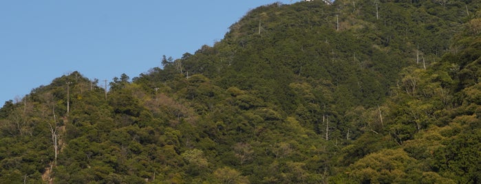 金華山 is one of 山と高原.