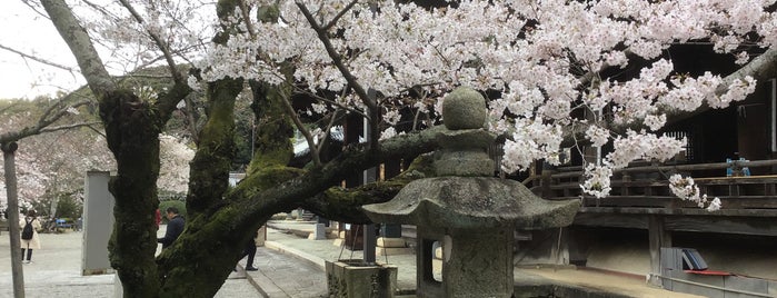 湯浅桜 is one of 西国第三番 粉河寺とその周辺.