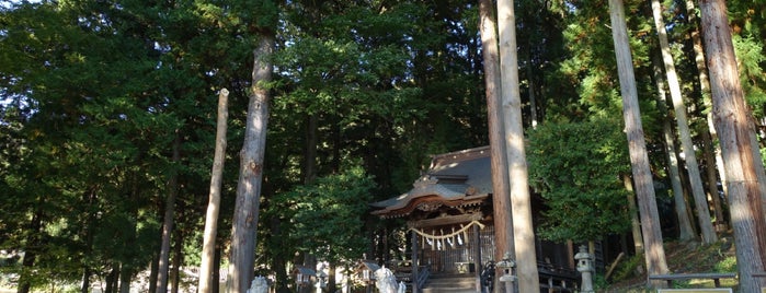 高木津島神社 is one of 行きたい神社.