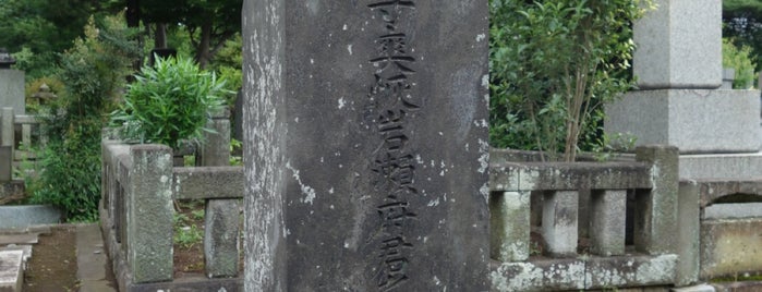 岩瀬忠震 墓所 is one of 立てた墓3.