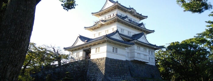 Odawara Castle is one of 小田原城.