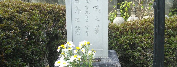 芹澤鴨 平山五郎 墓所 is one of 立てた墓 2.