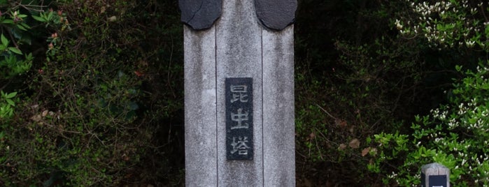昆虫塔 is one of 立てた墓 2.