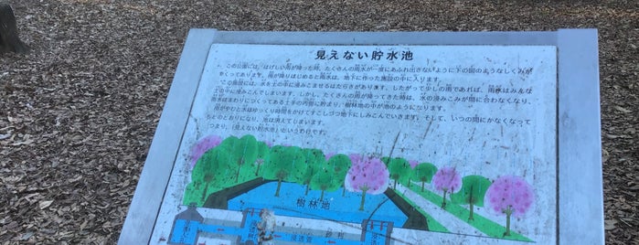 見えない貯水池 is one of Tokyo-Sibya.