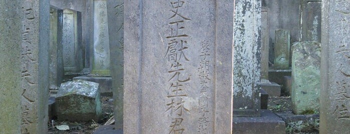 林鳳岡（大学頭信篤） 墓所 is one of 立てた墓 2.