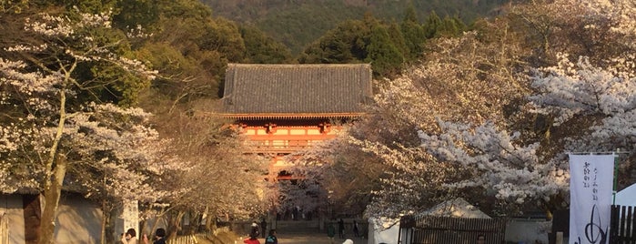 桜の馬場 is one of 総本山 醍醐寺.