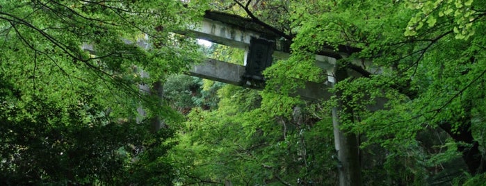 醍醐寺 鳥居 is one of 総本山 醍醐寺.