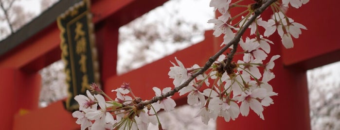 四天王寺 亀遊嶋辯才天 is one of 四天王寺の堂塔伽藍とその周辺.