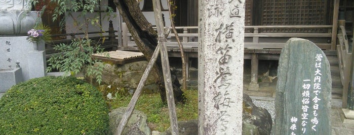 瀧口入道旧跡 横笛鴬梅・鴬井 is one of 高野山山上伽藍.