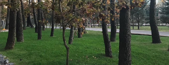Doğa Parkı is one of Olena : понравившиеся места.