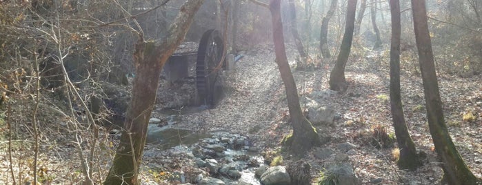 Çatal Çam Alabalık ve Et Mangal Tesisleri is one of Tempat yang Disukai Dr. Murat.