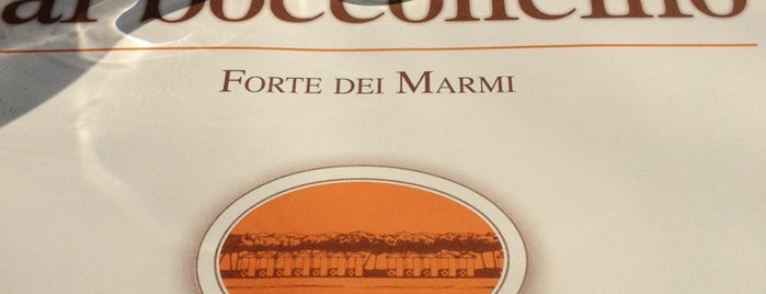 Al Bocconcino is one of Forte de marmi.