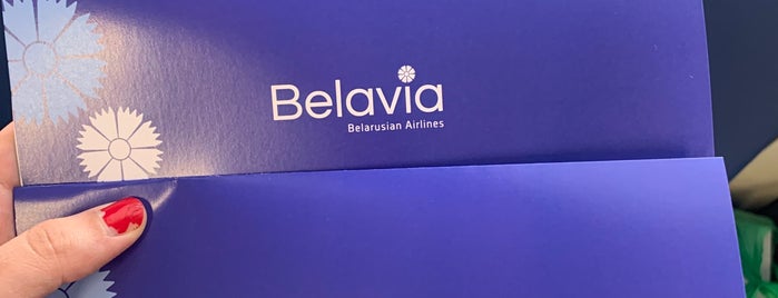 Belavia is one of lilu.