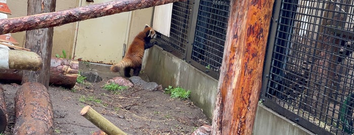 Red Panda House is one of Japan.