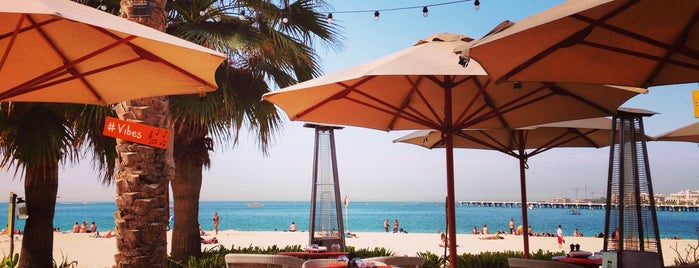 The 15 Best Places For Exotic In Dubai