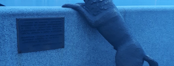 Памятник собаке по кличке Дружок is one of Nina : понравившиеся места.