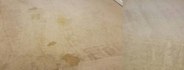 vericlean carpet cleaning is one of Lieux qui ont plu à Chester.