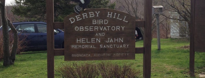 Derby Hill Bird Observatory is one of Rochester, Syracuse.