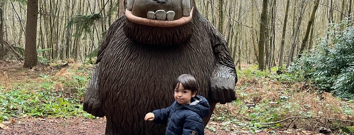 Bedgebury National Pinetum and Forest is one of Weekend in Ray uk.