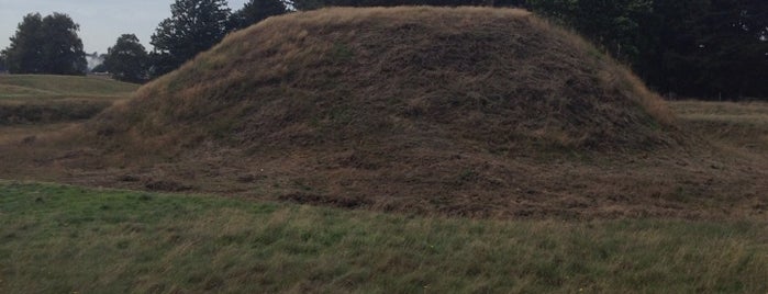 Sutton Hoo Burial Mounds is one of Orte, die Vadim gefallen.