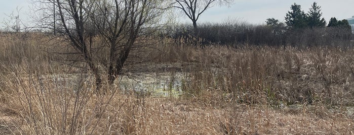 Ty Warner Park is one of Spraygrounds.