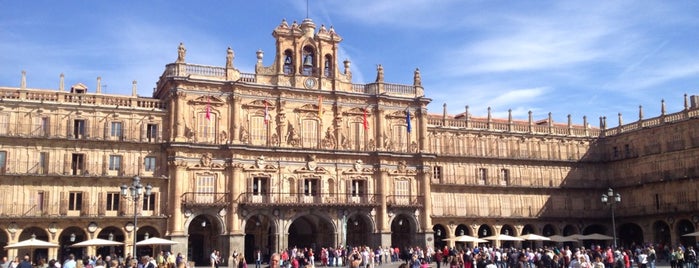 Plaza Mayor is one of Salamanca.