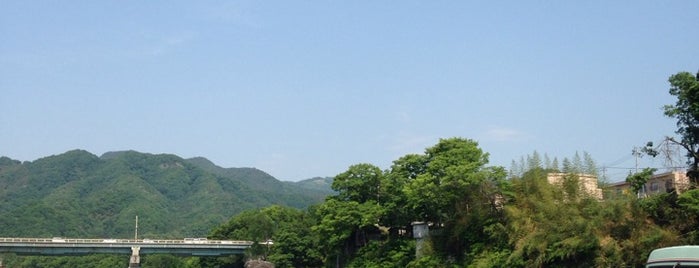 Water Park Nagatoro is one of [Dog].