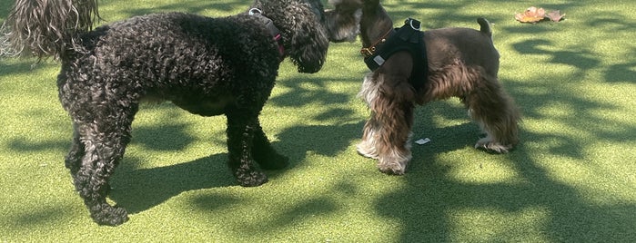 West Hollywood Park Dog Run is one of The 15 Best Dog Parks in Los Angeles.