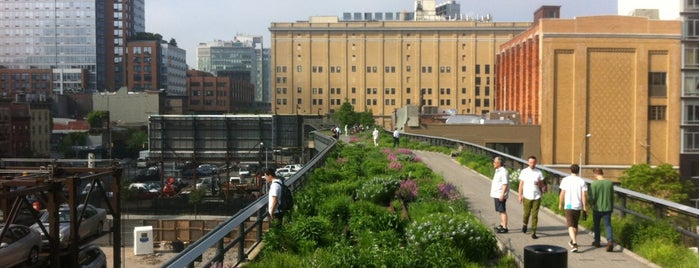 High Line is one of NY for beginners.