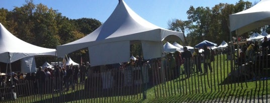Grand Harvest Wine Festival is one of สถานที่ที่ Glen ถูกใจ.