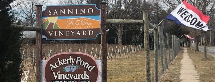 Sannino Bella Vita Vineyard is one of North Fork Wine Trail.