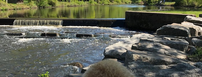 Demarest Duck Pond is one of Bergen County Somethings.