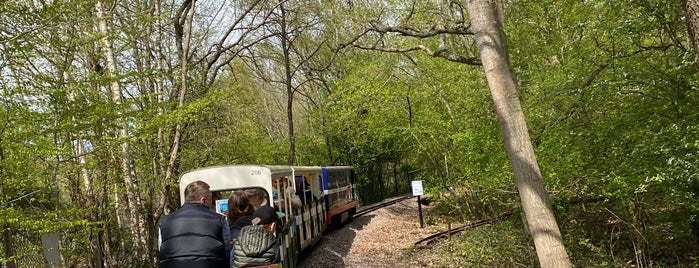 Ruislip Lido Railway is one of Kid Friendly London.