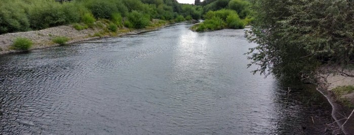 Río Trancura is one of Lieux qui ont plu à alfredo.