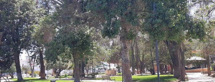 Parque Revolución is one of Kid friendly Ensenada.