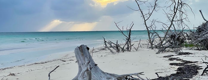 Lucayan National Park is one of Bahamas.