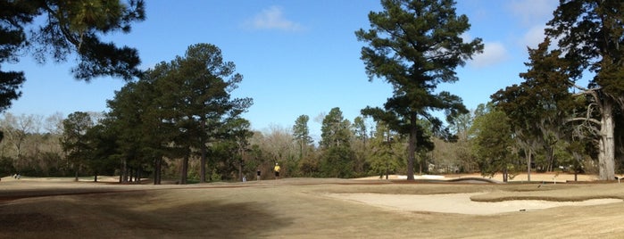 Palmetto Golf Club is one of Golf.
