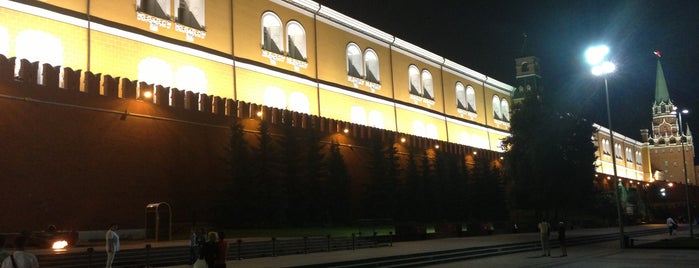 Kremlin Wall is one of Around The World: Europe 4.