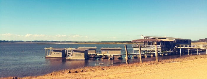 Laguna Garzon Lodge Hotel Flotante & Ecoturismo is one of Tempat yang Disukai JOSE.