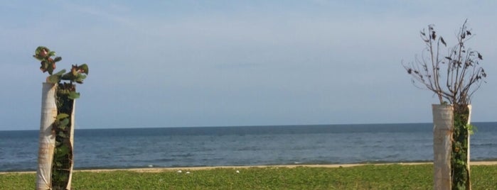 Thiruvanmiyur Beach is one of Beach locations in India.