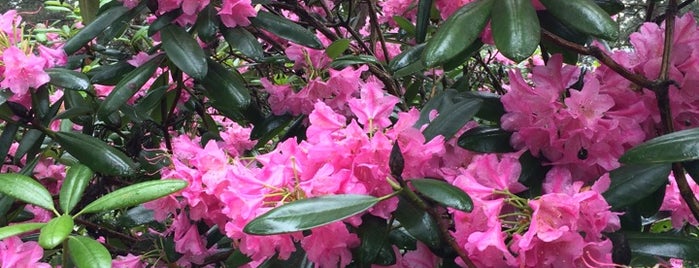 Rhododendron Park is one of Places to come again.