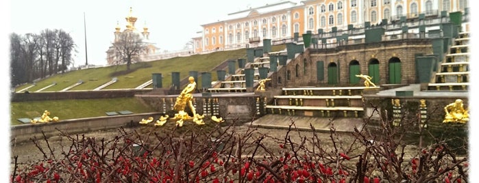 Peterhof Museum Reserve is one of St. Petersburg City Badge - Attraction.