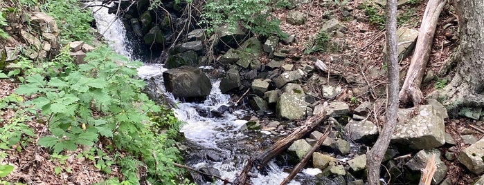 Roaring Brook Falls is one of Cheshire-area Trails.