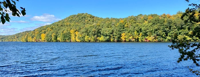 Paugussett State Forest is one of ct parks.