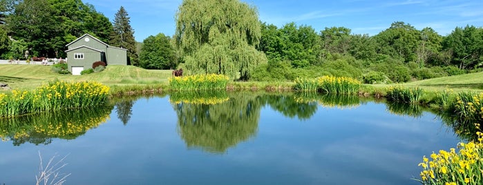 Clinton Vineyards is one of Gespeicherte Orte von Glenda.