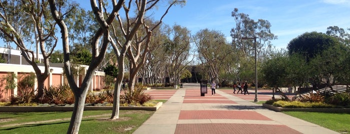 California State University, Long Beach is one of Colleges & Universities.