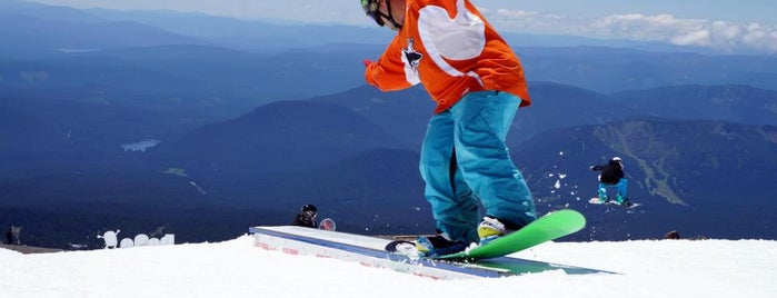 High Cascade Park is one of Places to shred around the world.