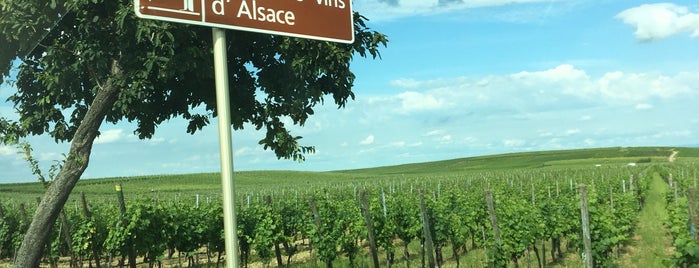 Route des Vins is one of Colmar.
