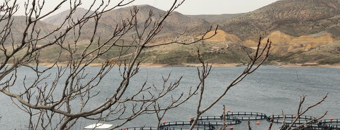 Kapıkaya Barajı is one of Orte, die mehmet gefallen.