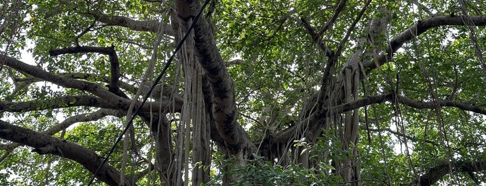 Koneshwaram Temple is one of Lieux sauvegardés par Georg.